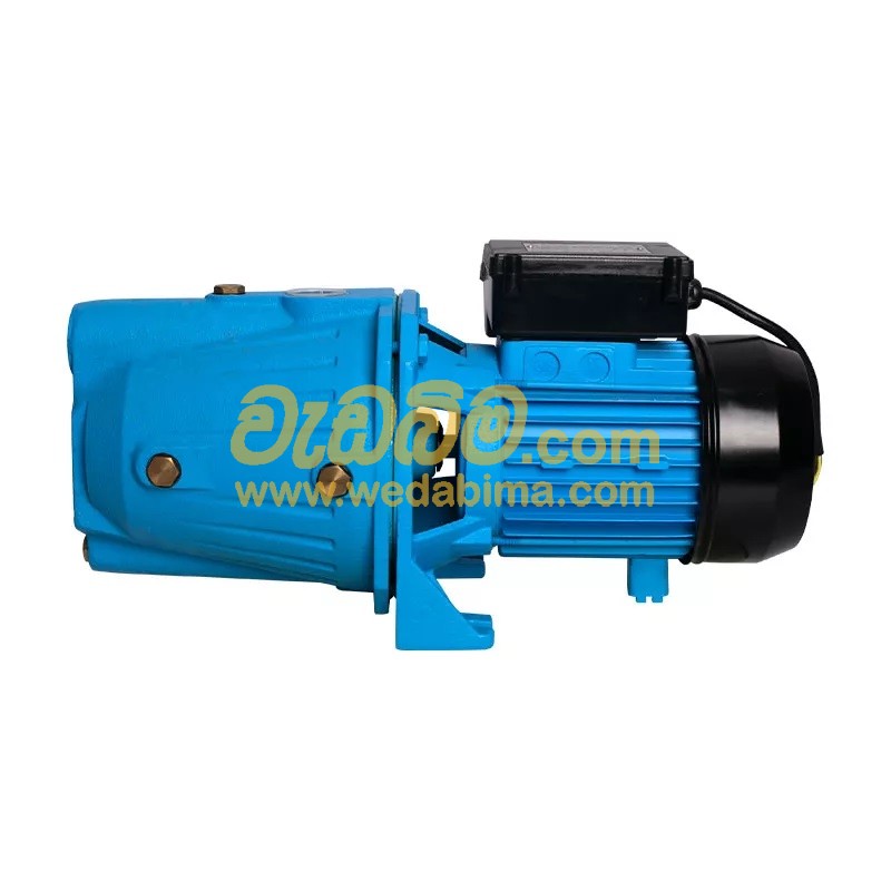 Self Priming Electric Pump